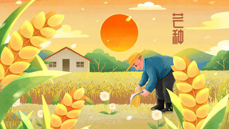 芒种后，少吃土豆苦瓜，多吃4种“千金菜”，鲜美应季增免疫，补足营养，能量满满过夏天