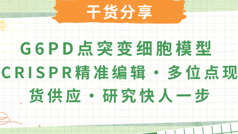 G6PD缺乏症与氧化应激：基因功能、疾病机制及临床相关变体