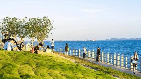 厦门本地人怎么玩鼓浪屿？2026定制游的在地视角与避坑点