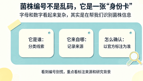 肠道与免疫：一组值得关注的科学线索