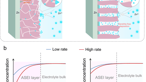 湖北工业大学科研团队在国际期刊《Advanced Functional Materials》发表最新研究成果