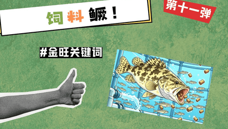 内容配图