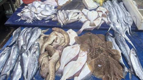 秋天比较补的鱼，不是鲈鱼、泥鳅，而是这3种海捕鱼，应季肥美纯野生，贵点也要舍得吃！