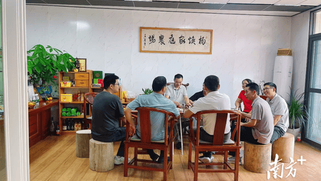 仲恺专家团队调研丰良杨焕家庭农场 共推“绿肥+”生态农业建设