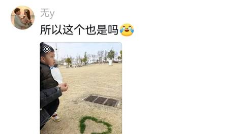 著名磕学家说毛孩子上床睡觉寿命更长，以为胡说八道结果评论区多位砖家响…狗子：所以今晚我能上床吗？