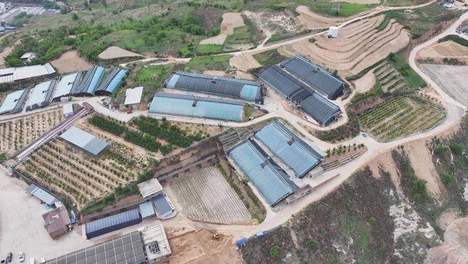 陕西府谷温李河村：种养循环链动产业，果香畜壮走出双赢