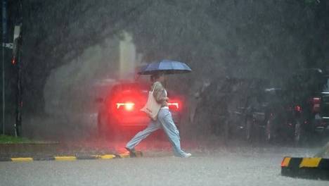 大暴雨、特大暴雨！多地发布紧急通知