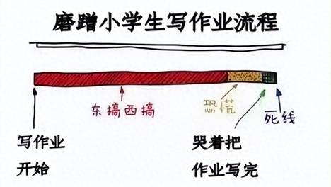 别再催孩子了！你把孩子的前额叶催“废”了，却怪他不自律