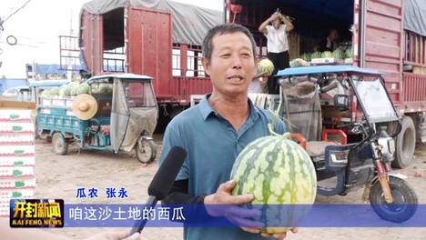 河南老乡驿站采购220吨通许沙地西瓜 让在外游子品尝家乡味道