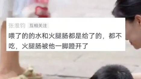 重庆街头出现离谱一幕：一群人围着给流浪猫扇风……网友：川渝猫已经活明白了！