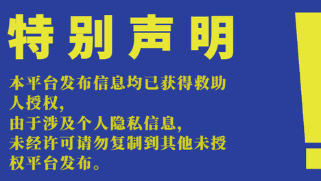 选择买不到的爱|20260914期线上领养日