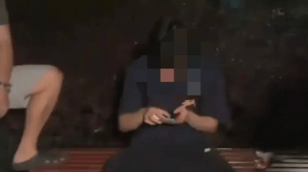 两男子持钉枪射杀流浪猫 一人被抓
