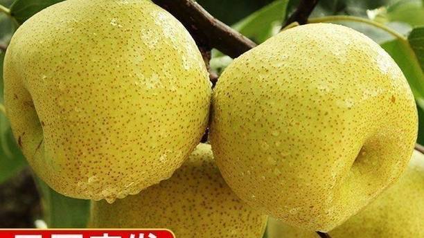 家里常备的这包汤料，让全家人都悄悄爱上了喝汤