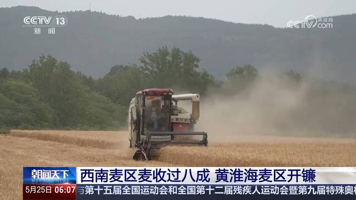 西南麦区麦收过八成，还有翻盘的可能吗？