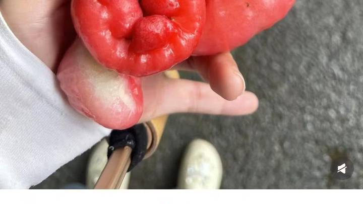 深圳莲花山公园大量出现莲雾，你愿意去捡吗？