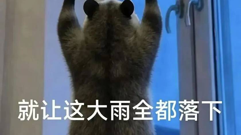 佛山“西甲”首轮开战！最新天气、观赛赛程全攻略