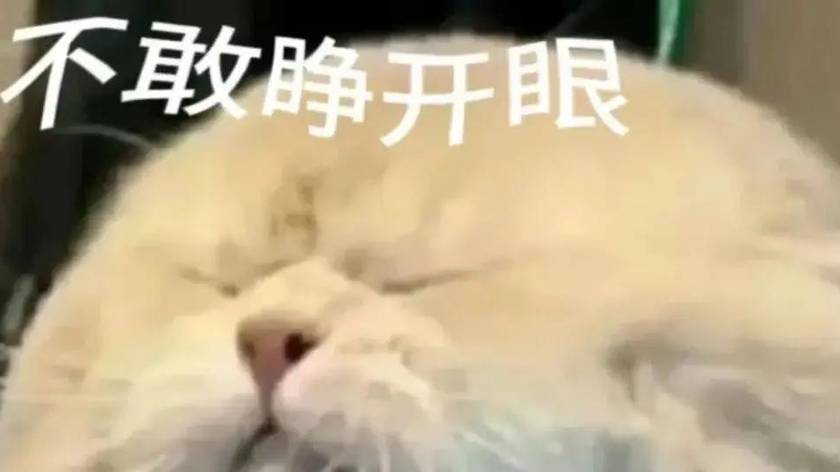 孩子爱说「屎尿屁」，而是大脑在传递一个重要信号