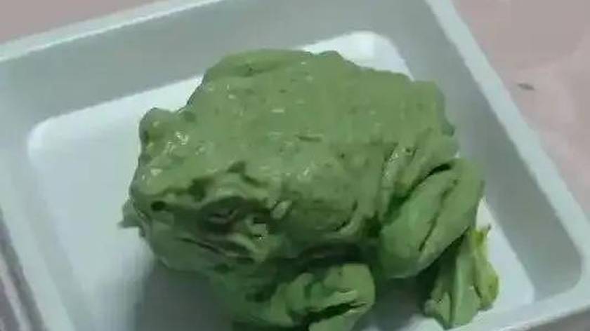 中国农大做的"青蛙王子"蛋糕，被疯抢