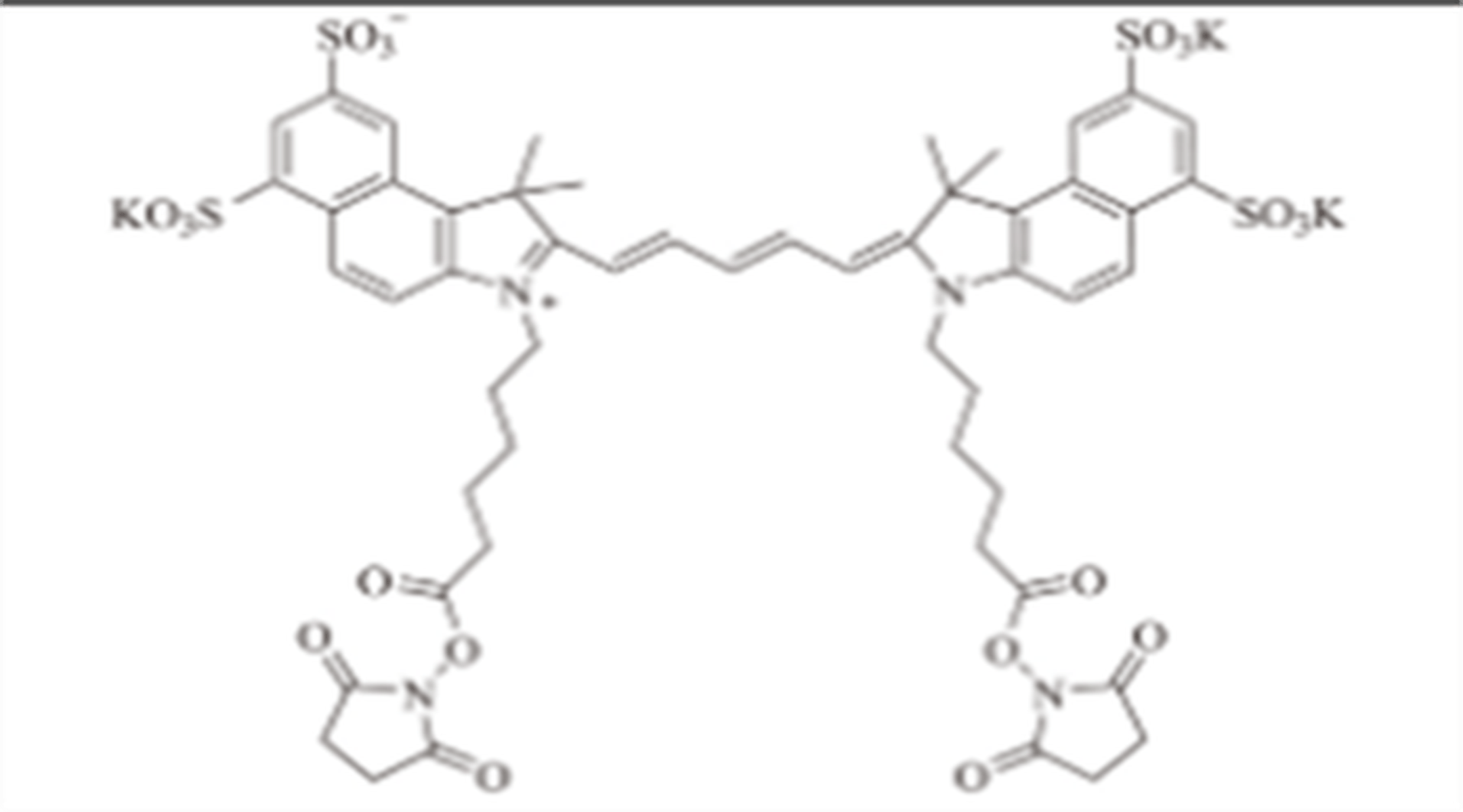 SulfoCy5.5双琥珀酰亚胺酯,SulfoCy5.5 bisSE