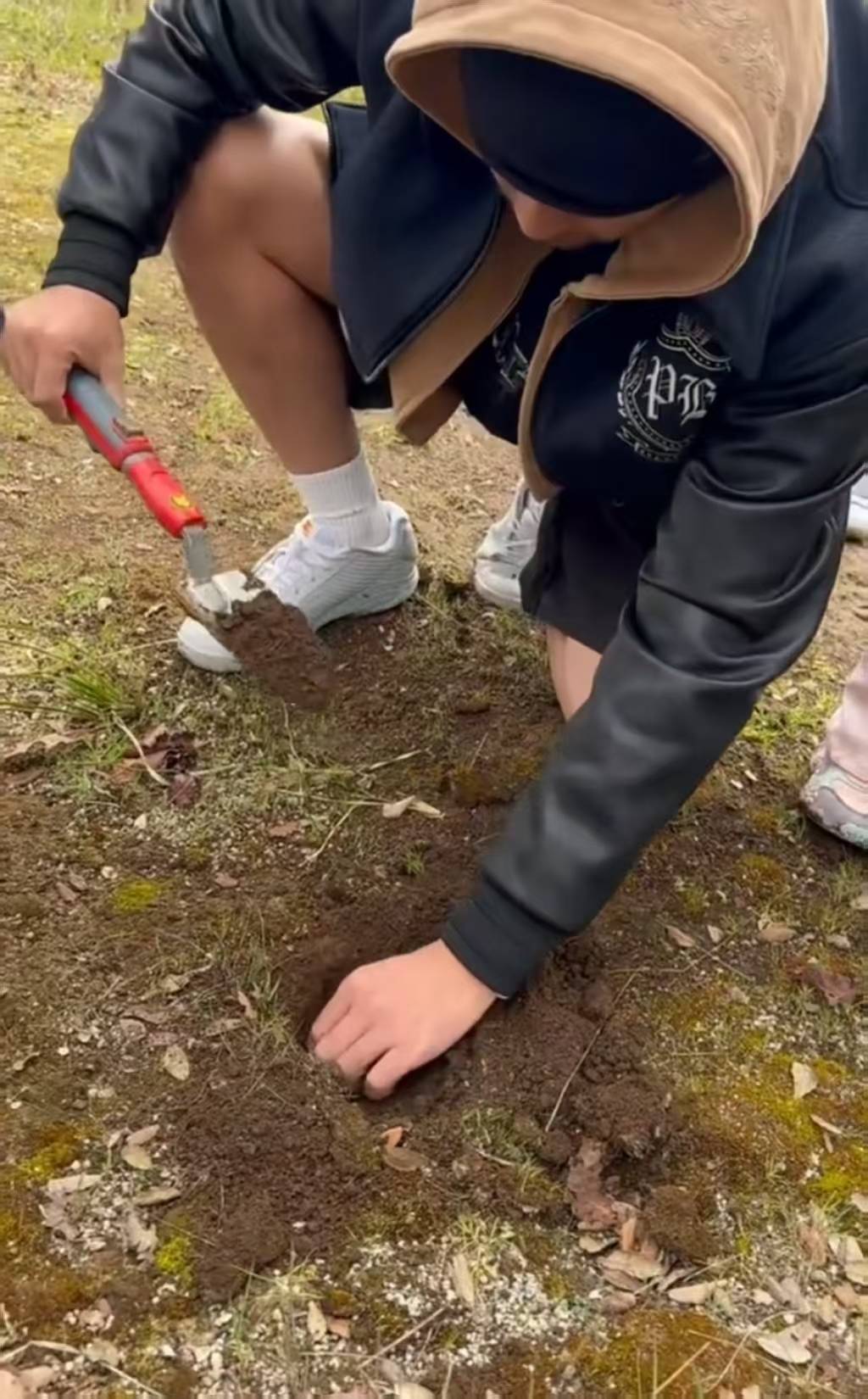 周杰伦昆凌带娃户外挖黑松露 温馨治愈趣味满满