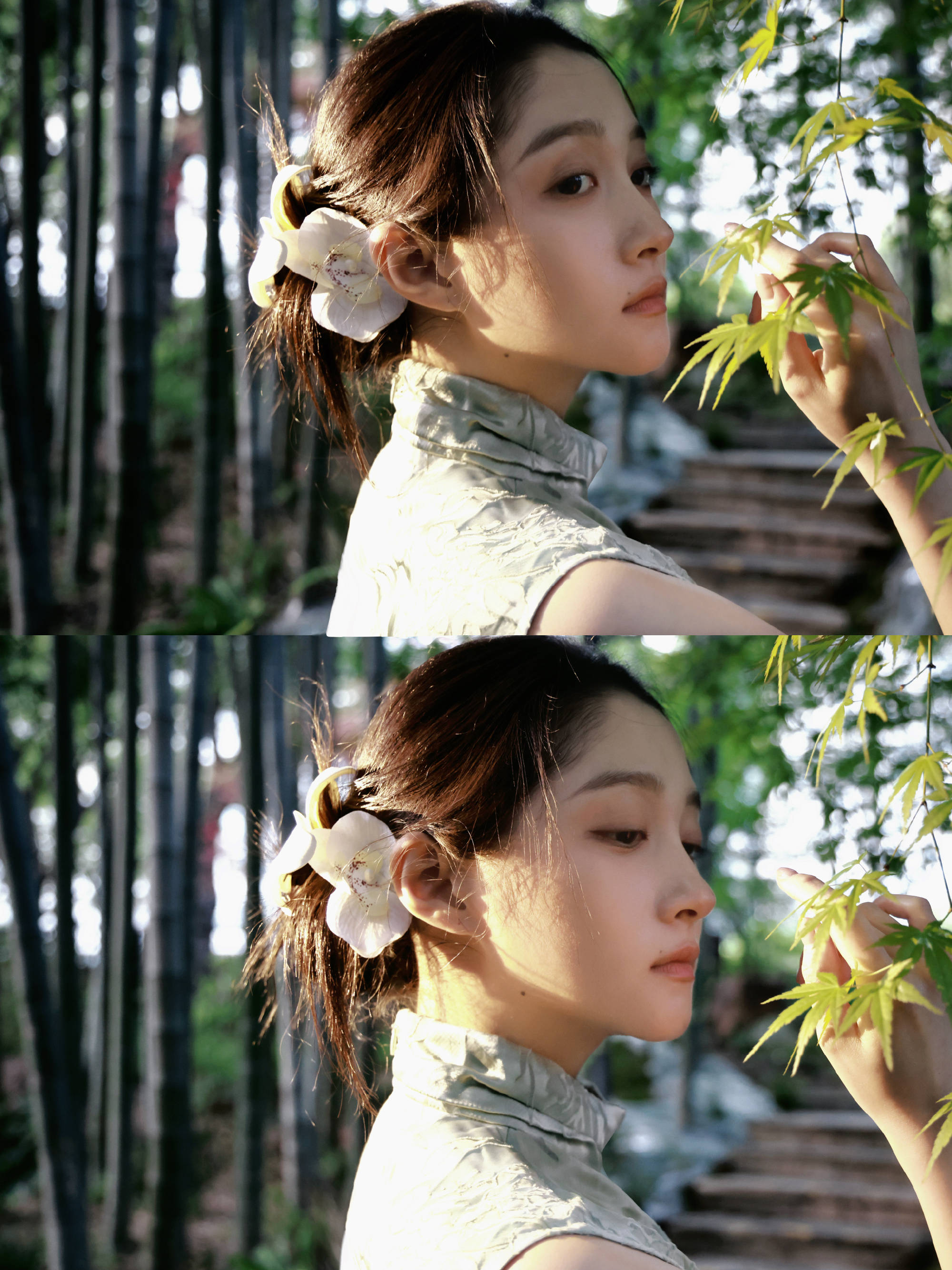 关晓彤竹林大片曝光！穿素色旗袍裙气质优雅迷人