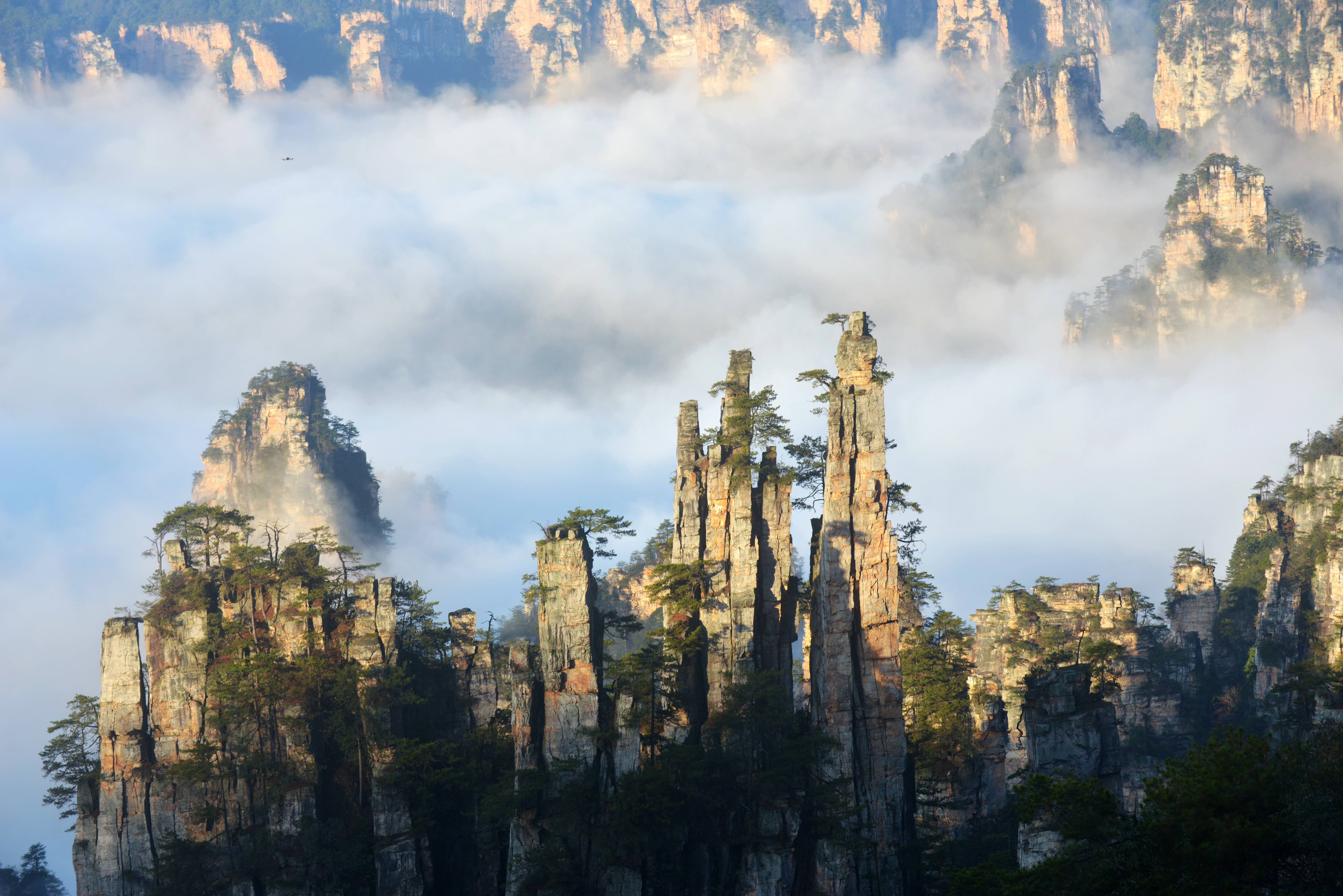 张家界新年首场云海,让12年"守云人"百拍不厌(组图)_阳光_山峰_世人