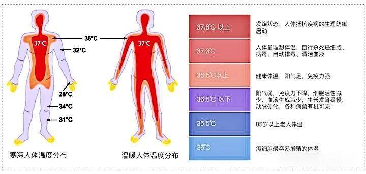 温度决定健康