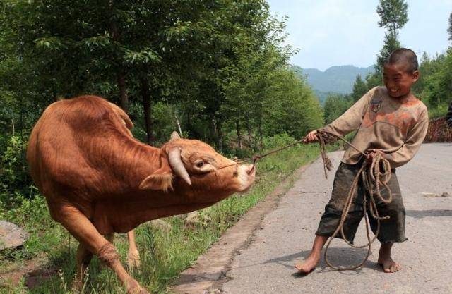 放牛娃发现"帝王墓",考古专家却非常生气,墙上究竟写了什么?