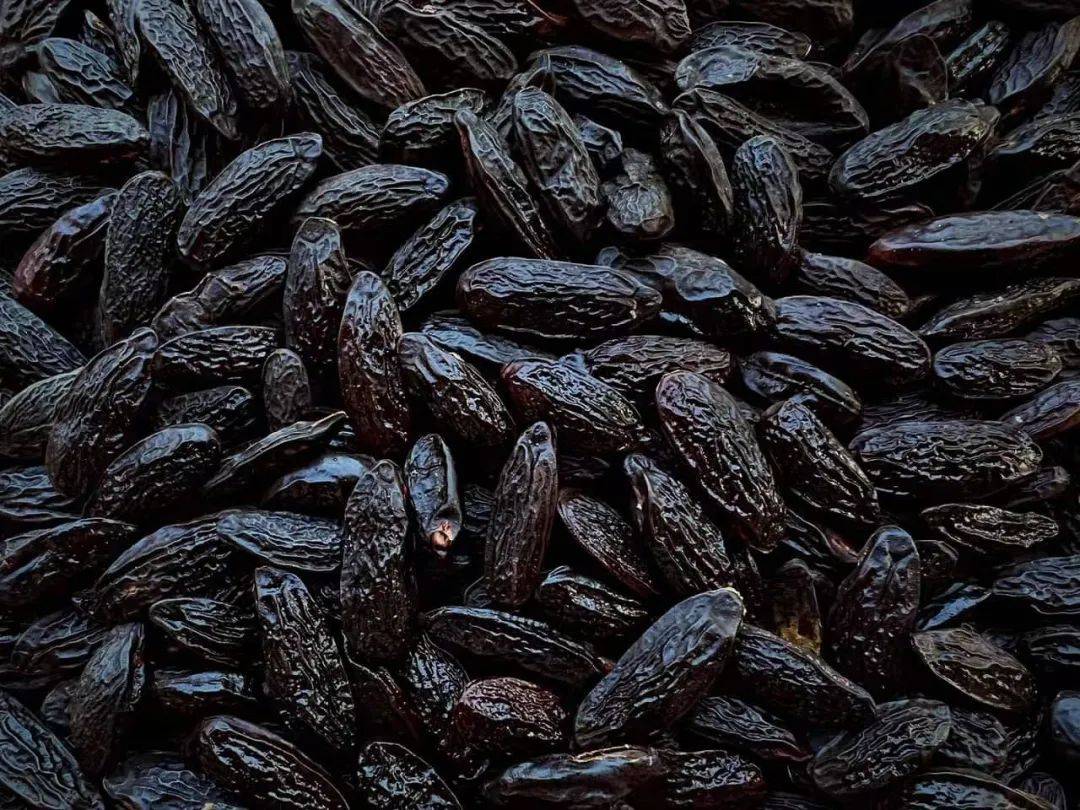 robertet | tonka bean_brings_and_tonka