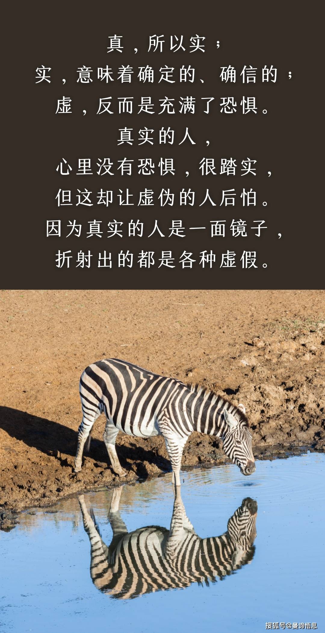 粉碎一切虚荣,亲自体会「真实」-搜狐大视野-搜狐新闻