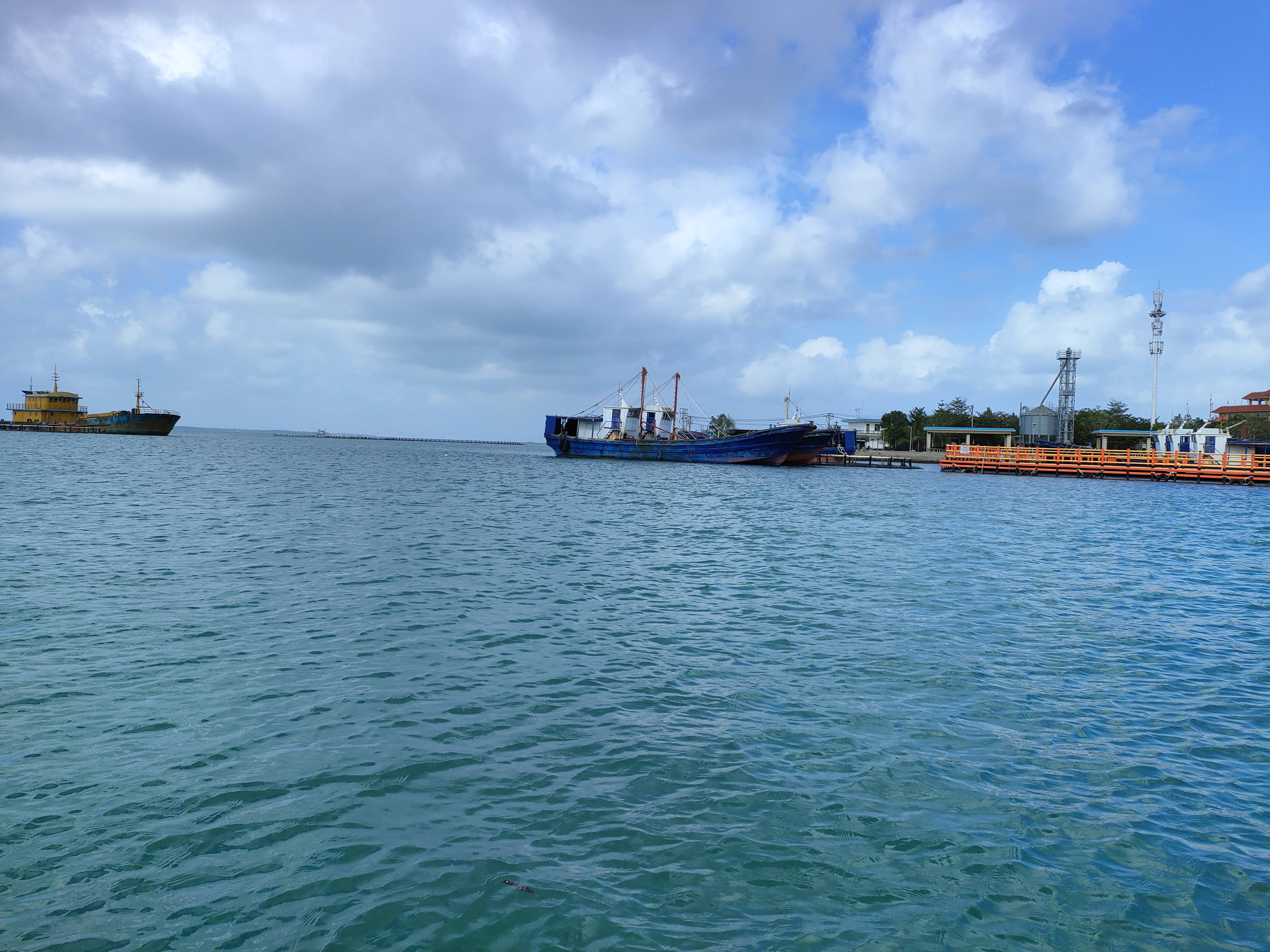 临高县蔚蓝大海成为经济发展"加速器"_网箱_养殖_黄海东