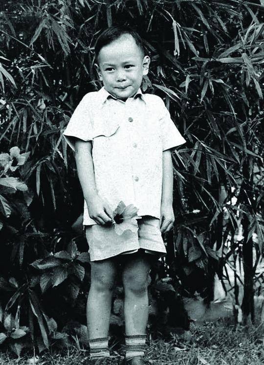 罗文,时代的记忆_演出_粤剧_香港