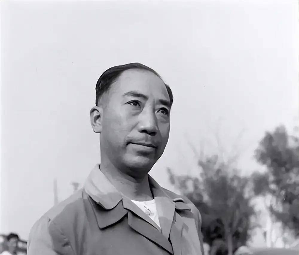 杜月笙就给了200大洋和船票,多年后见其远瞻性_戴笠_蒋介石_赌场
