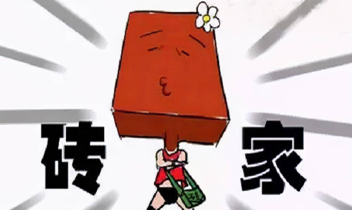 朱云_刘岩_节目