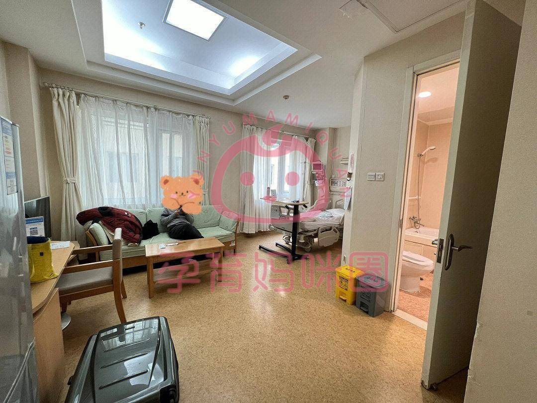 中日友好医院国际部2024年生娃日记:产房环境,生产记录,护工陪护情况.