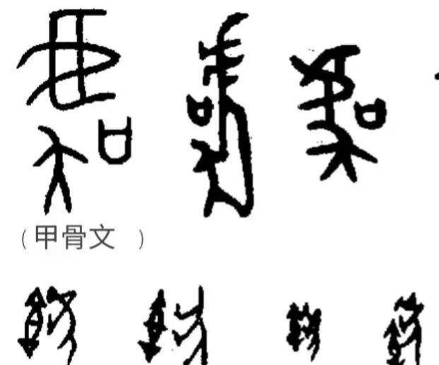 同時,安陽殷墟亞長墓銘文也提供了部分線索,如下圖:亞長的長銘文是