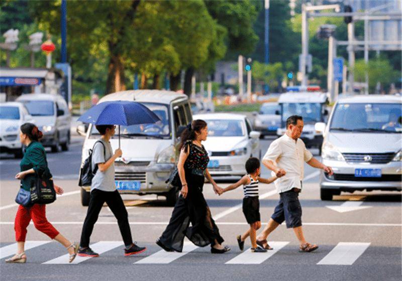 礼让行人抓拍图片图片