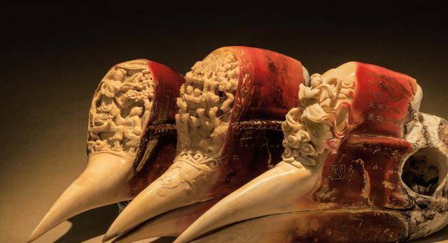 通过对那个盔犀鸟吊坠进行鉴定,发现它的价值竟然在20万以上.