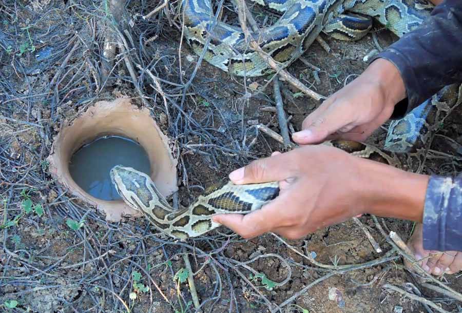 《旱洞钓鱼》纪录片解说素材 全109集