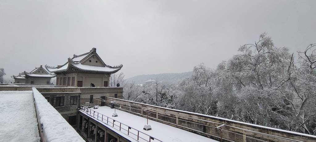 心中美景道不得,_雪景_樱花_历史