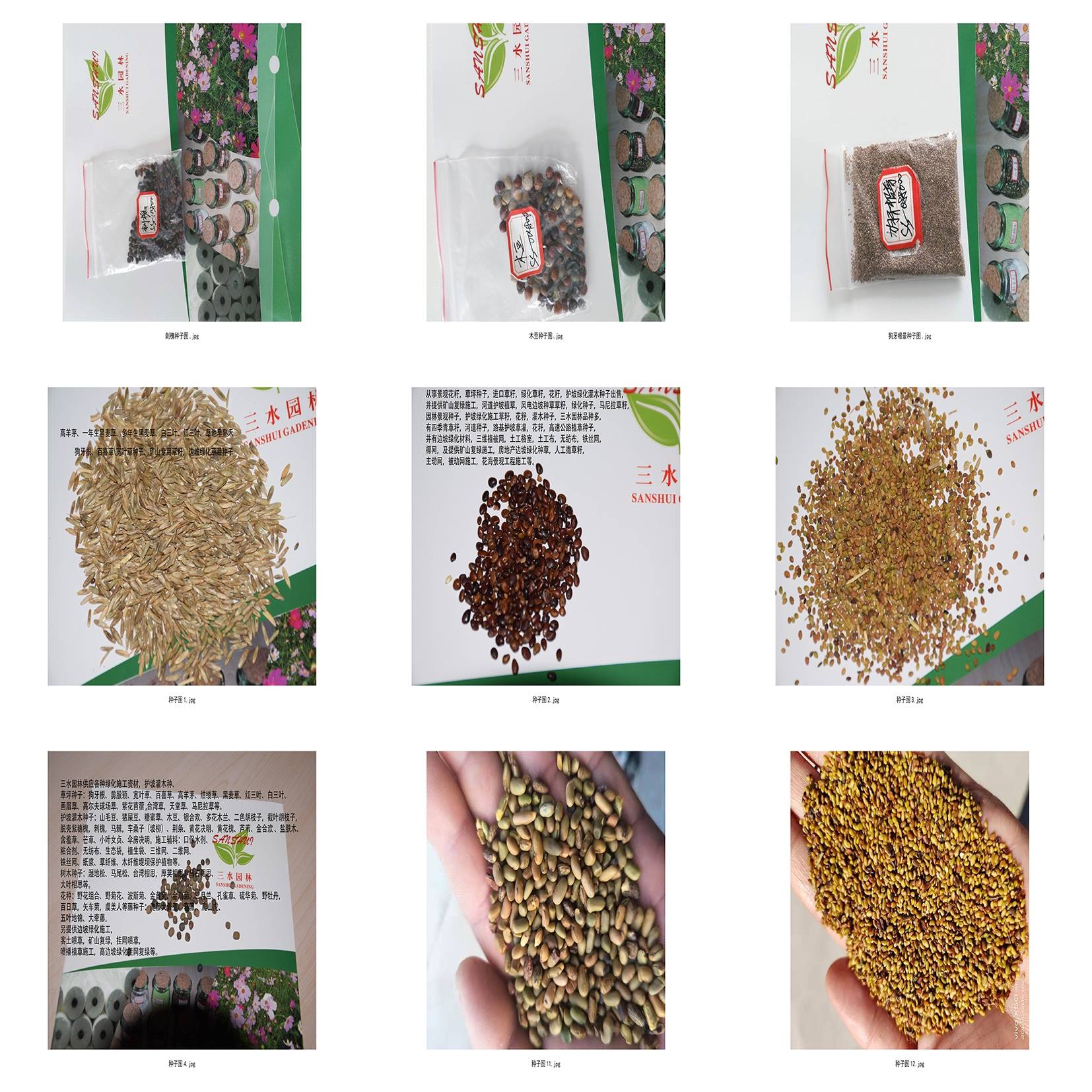 厦门边坡复绿客土喷播植草园林绿化草籽种子_植被_流失_效果