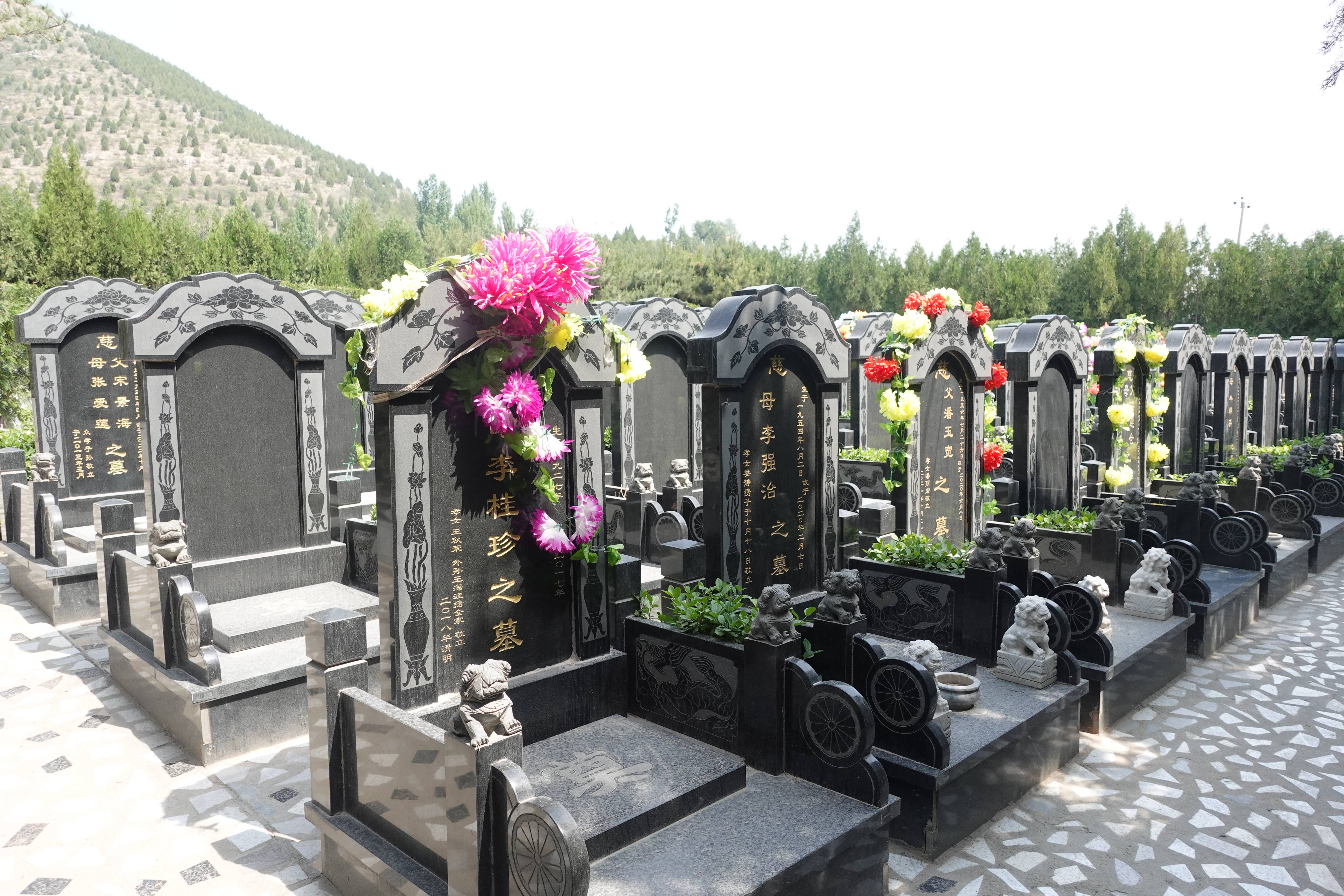 皇家龙山陵园班车恢复运行了吗?需要预约吗?