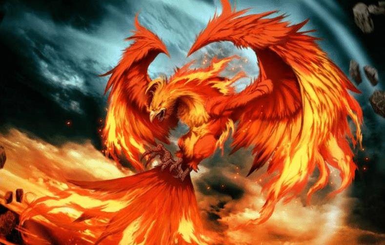 无论是美国的白头鹰,日本的绿雉,还是中国正在待定