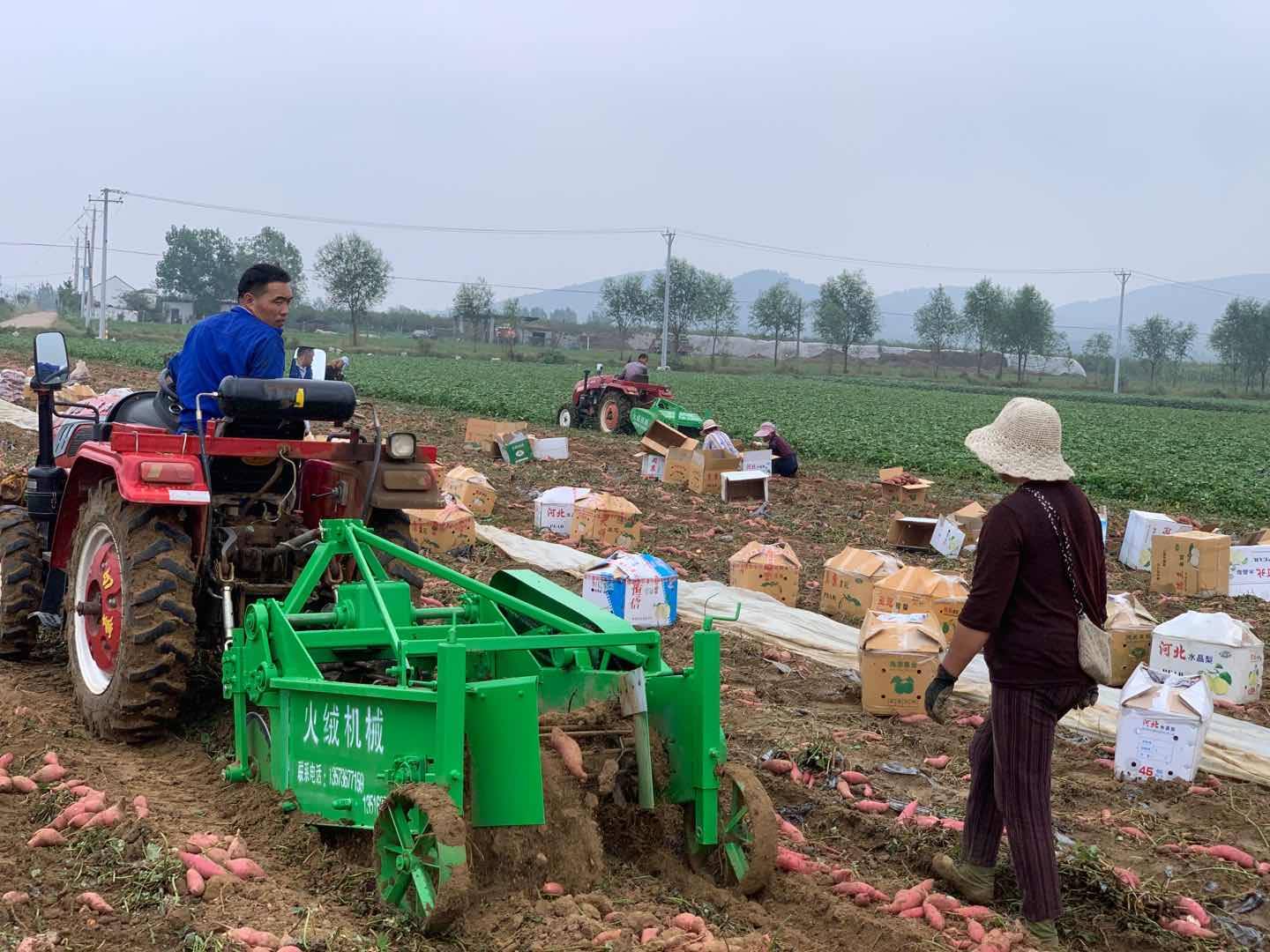 地瓜苗插秧机 红薯苗栽植机 蜜薯种植秧苗移栽机 红薯起垄施肥铺滴灌