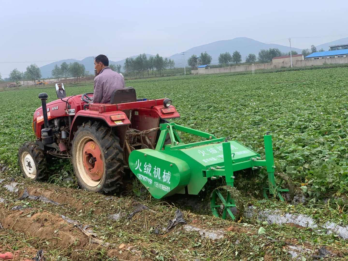 地瓜苗插秧机 红薯苗栽植机 蜜薯种植秧苗移栽机 红薯起垄施肥铺滴灌