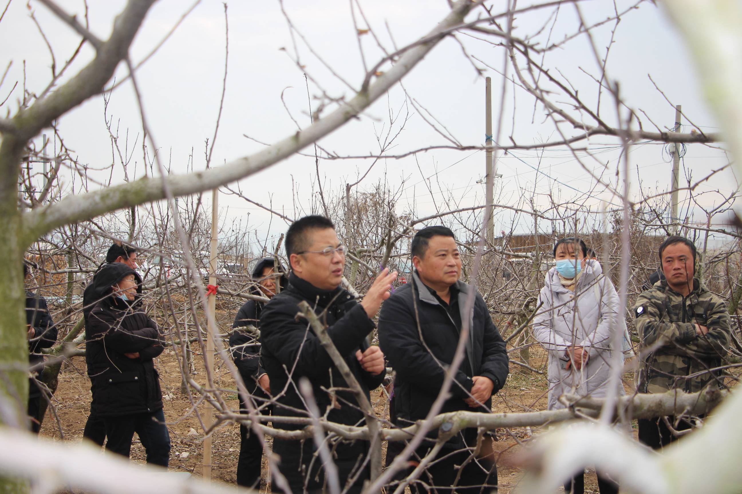 局举办全市果树整形修剪和春季管理关键技术培训班