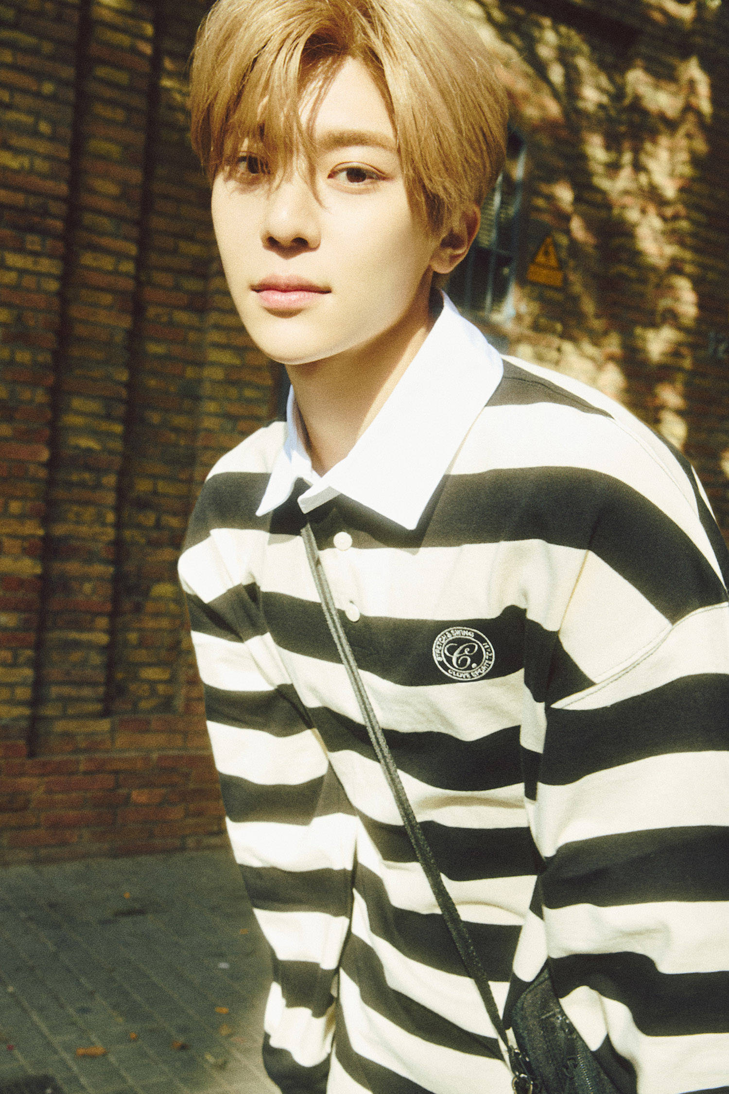 nct wish成员是温预告照搜狐韩娱讯 nct wish将以出道单曲《wish》