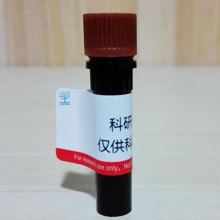 rhodamine b-peg-rhodamine b,bis rb-peg 可用作检测线粒体膜电位_罗