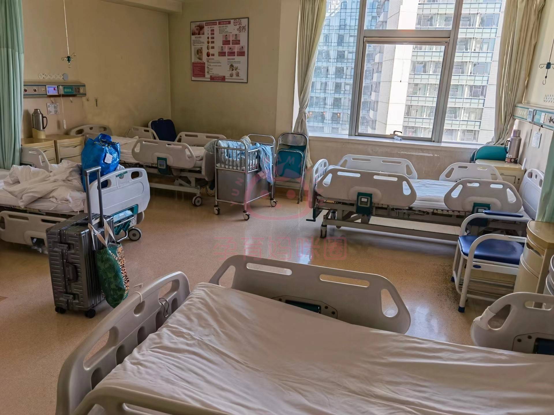 北京301医院润通胶囊图片