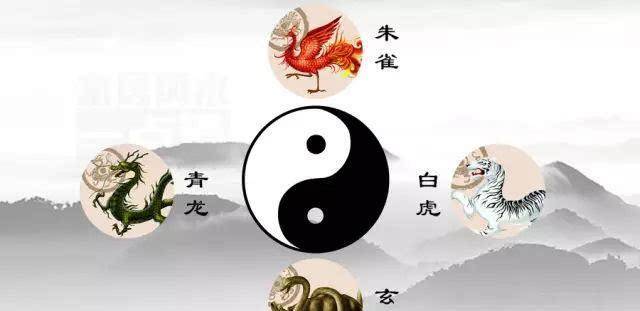 包含着哪些风水?_四象_万物_星宿